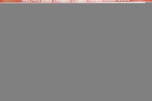 d7aabb8325dbe585bcca17